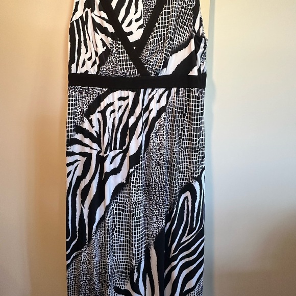 Bianca Nygard Dresses & Skirts - Bianca Nygard Black and White Zebra Print Maxi Dress